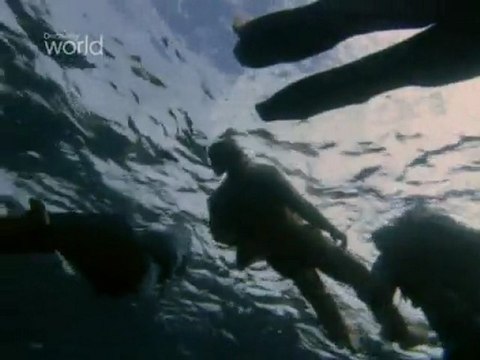 Корабль ВМС США Индианаполис. Трагедия на море