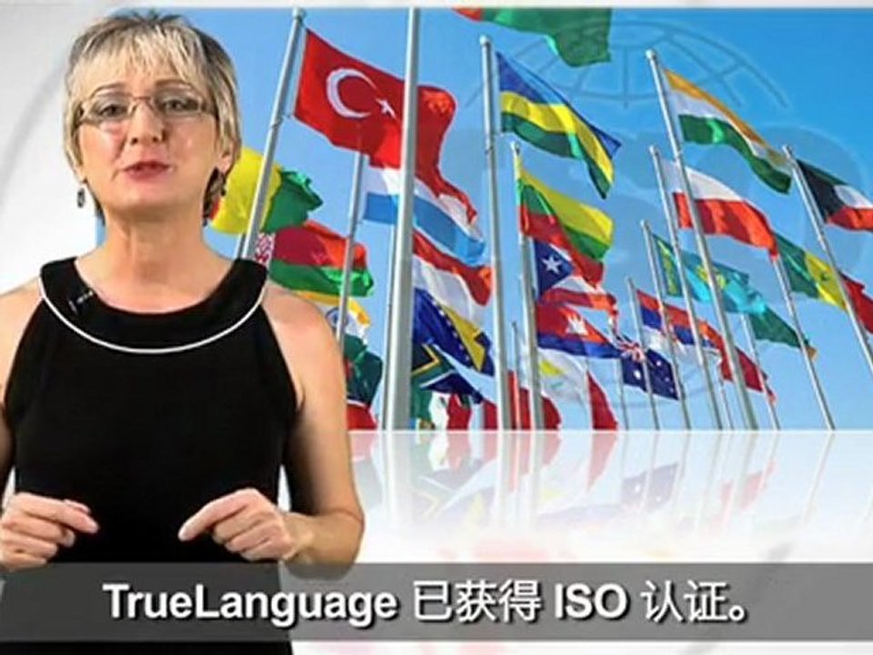 是一家全球性的翻译服务公司，中国-英语