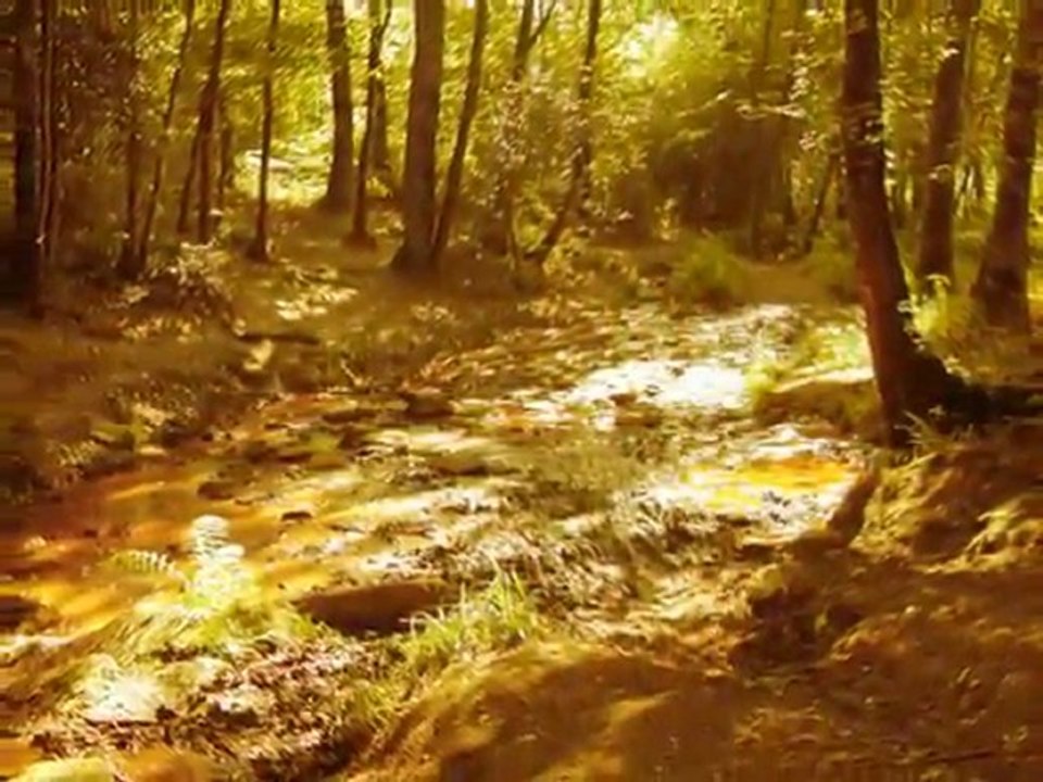 Lieux magiques en Pays Celte