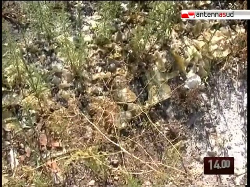 Tg 30.07.10 Bari, stazione fantasma della Ferrotramviaria a San Pio