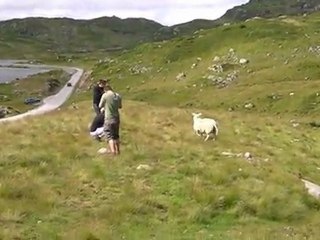 Notre road trip en Norvège - Jour 2.AVI