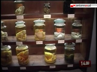TG 11.08.10 Gallipoli, riapre il museo di patologia fetale
