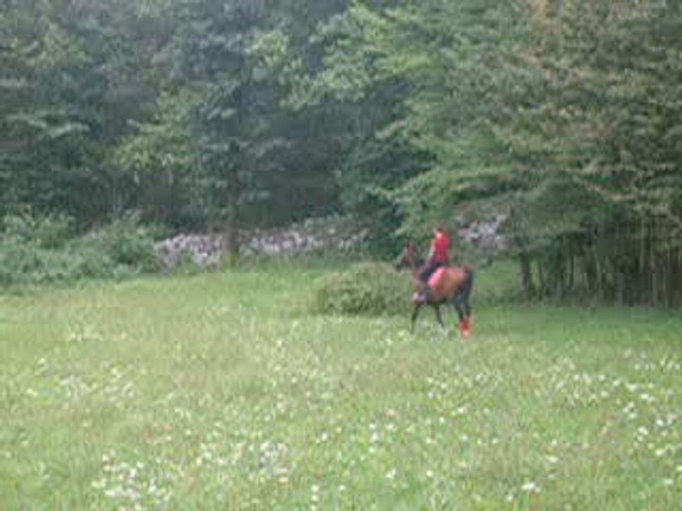 Mavrick et moi au galop