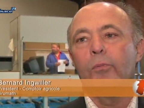 Sale temps pour les houblonniers alsaciens!