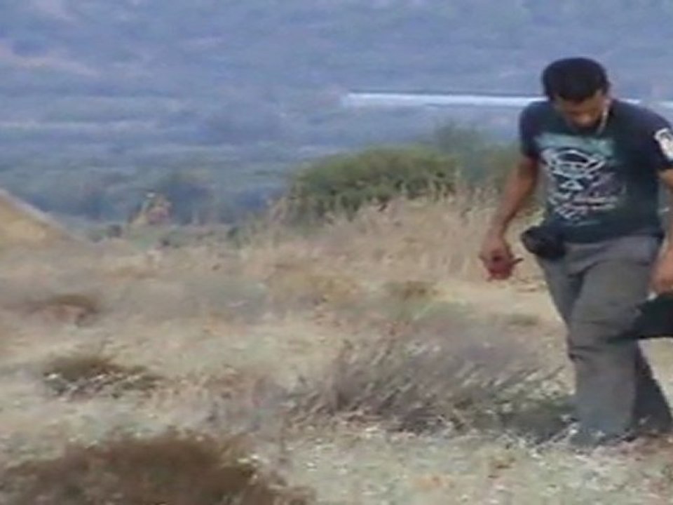 Kurzhaar vom Akhisar - Güneş ferma çalışma 2