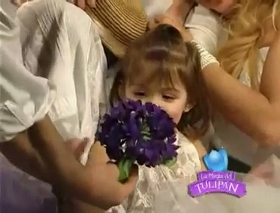 LA MAGIA DEL TULIPÁN - DESDE EL 17 DE SEPTIEMBRE 16 HRS TEATRO METRO