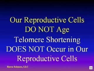 Sao Paulo Brazil Presentation 041010 Basics about Telomeres