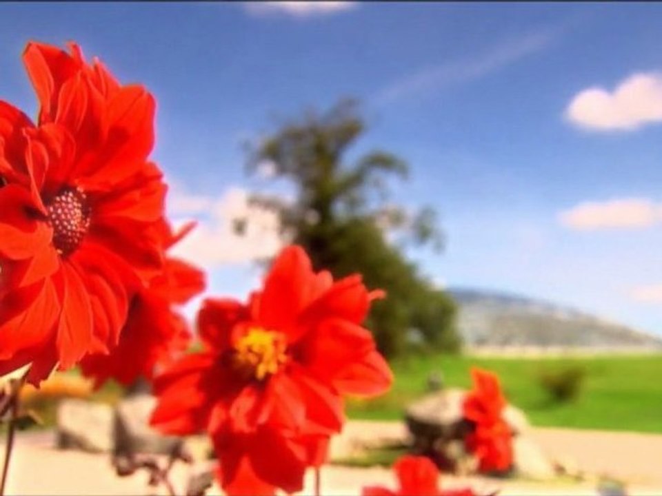 Vivaldi ♪ Les 4 Saisons Seasons ☼Eté Summer ▪J.Fischer