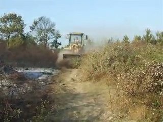 Akyazi da Orman Yangini