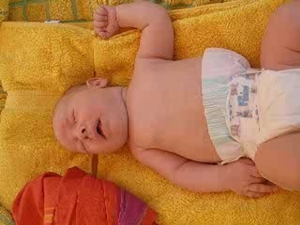 Reveil à la piscine (fin Aout)