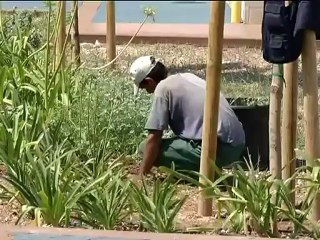 TG 31.08.11 Mercato ex Palmiotto, Lacarra: "basta polemiche, è quasi pronto"