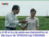 kết quả sử dụng chế phẩm sinh học vườn sinh thái cho cây dưa hấu tại tỉnh hải dương