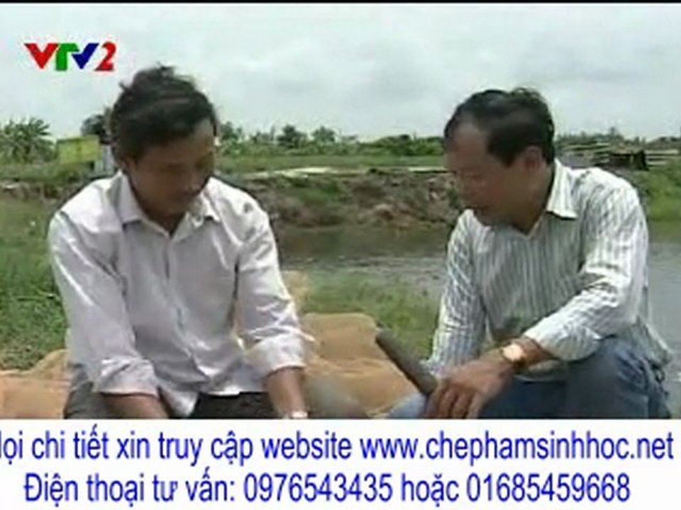 làm sao để nuôi cá không nổi đầu vào buổi sáng?