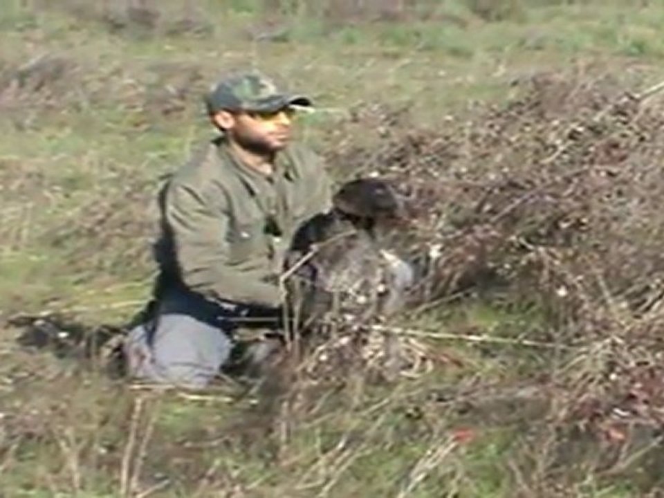 Kurzhaar vom Akhisar - fırlatma makinası eğitimi 2.aşama