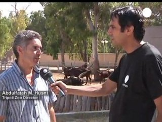 Tripoli's zoo animals victims of war