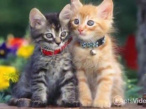 Rock Glen Apartments in Baltimore, MD - ForRent.com