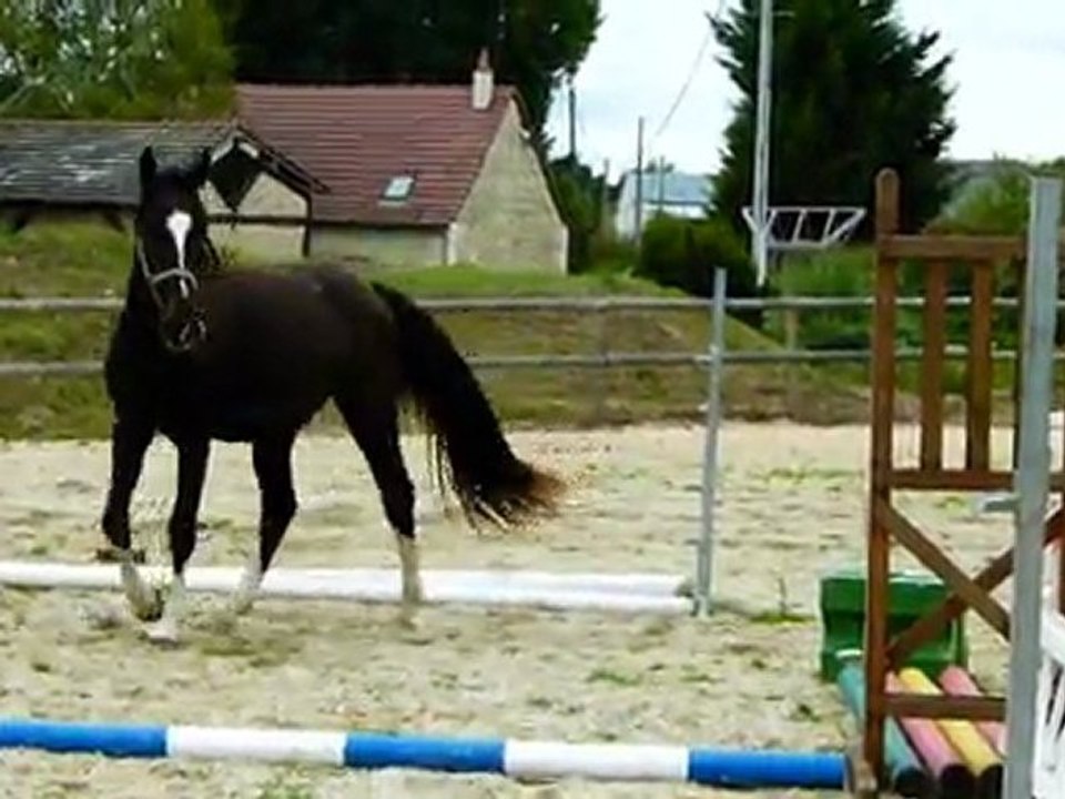 umour  trot et sa petite gueule
