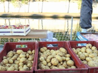 Arrivée à l'aube du 1er marché flottant du 4e