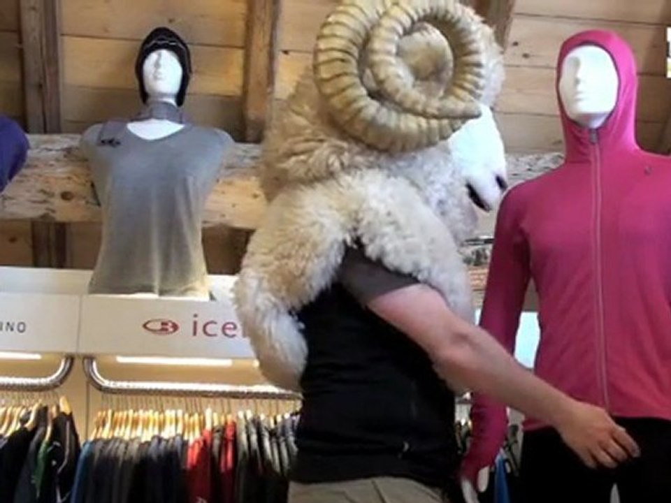 Snowleader présente la veste Quantum hood femme de Icebreaker