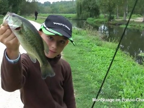 EcoTourisme en Poitou-Charentes : le marais poitevin et La Rochelle