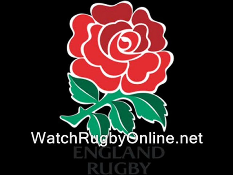 watch Rugby World Cup Argentina vs England live online