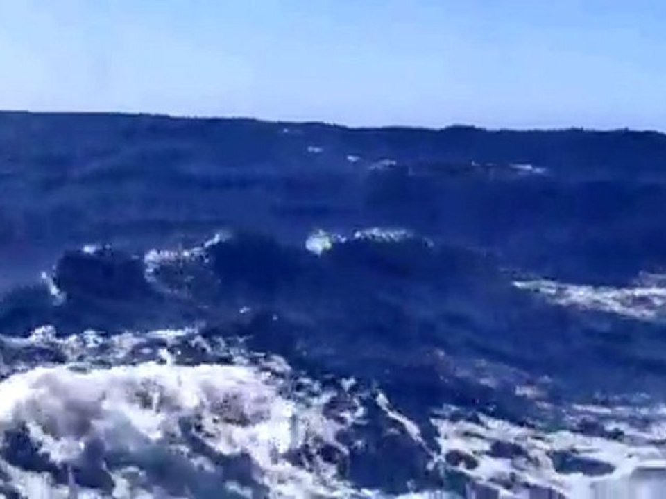 Traversée Cascais - Madère