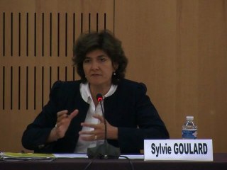 Crise de la dette souveraine et gestion de l'économie européenne - Intervention de Sylvie Goulard