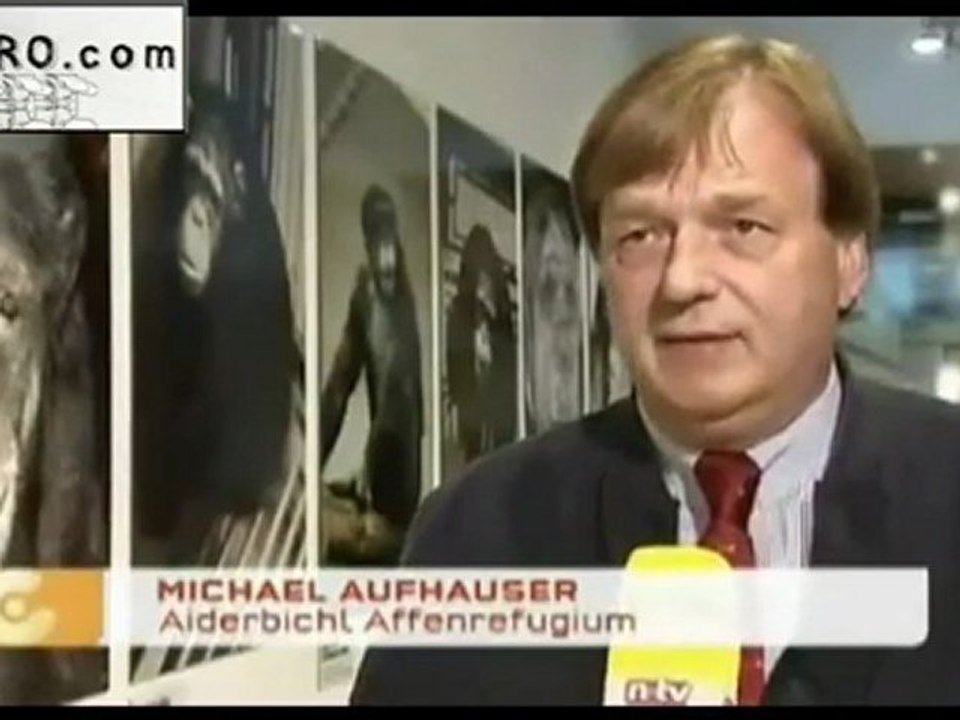 Notre Barbarie va nous couter Trés " cher "... _ Des singes de labo libérés après 30 ans de Torture ...