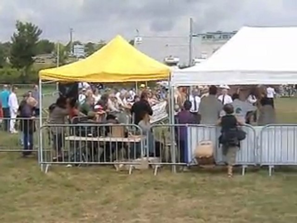 une petit poulain qui s'éclate bien !!!