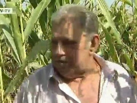 Hungary: Farmers Battling Harvest Thieves | European Journal