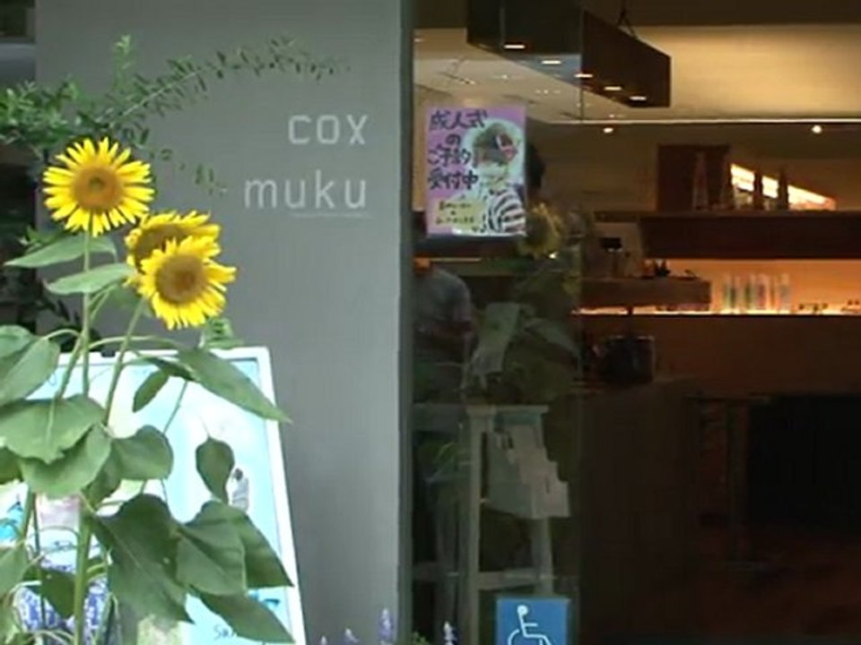Japon : des tournesols pour Fukushima