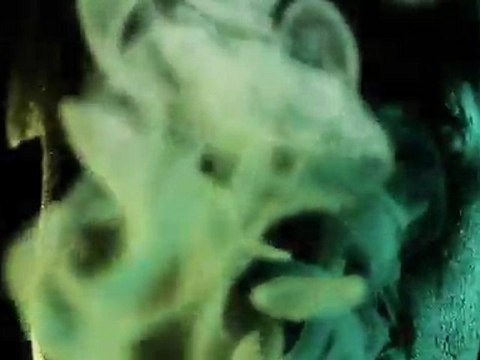 Jeezy Da Snowman Feat. Gangsta Gibbs - Rough (2011)