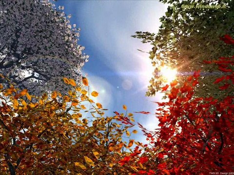 Niciodată toamna... Tudor Arghezi-Tudor Gheorghe