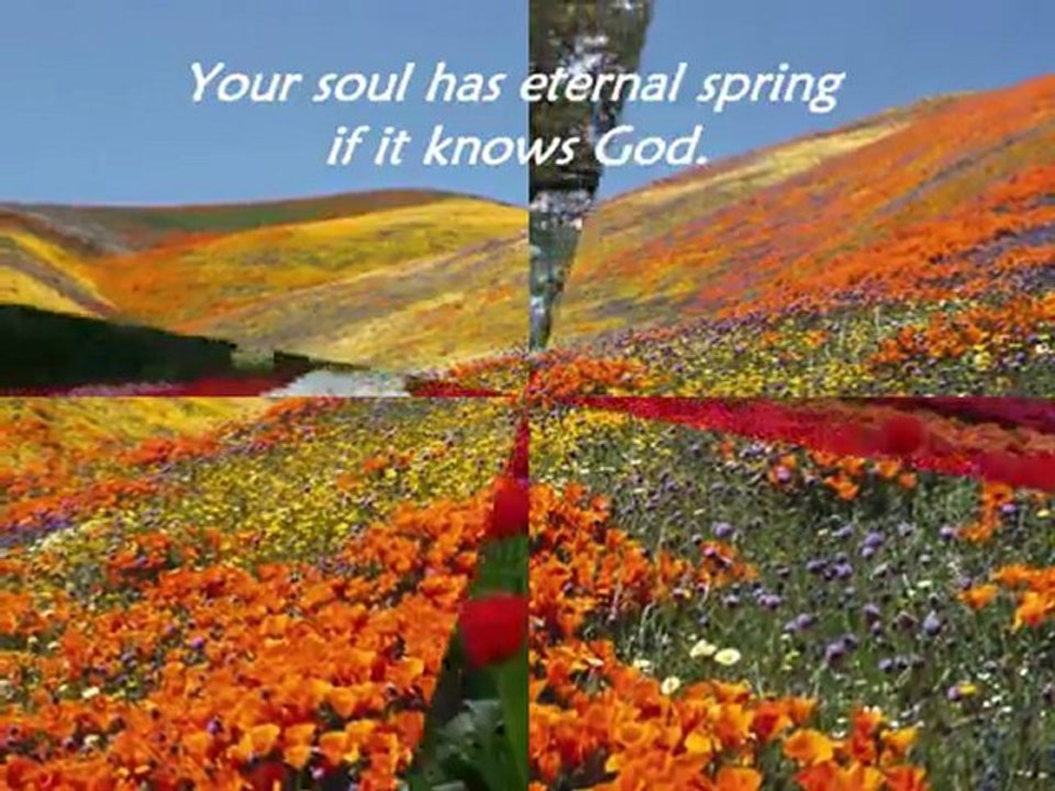 Eternal springtime ... - YouTube