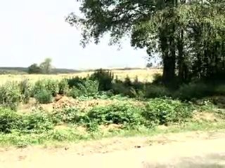 HAZER EMLAK TEL: 0546 851 6657 SATILIK KAVAK BAHÇESİ