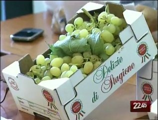 TG 08.09.09 Sos viticoltura pugliese