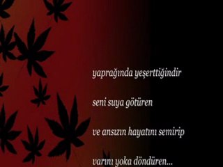 Meleklerin avuçlarında getirilir yüzün | Ya Leyl