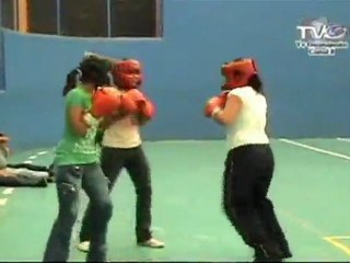 cortinilla entrada- dxt 8