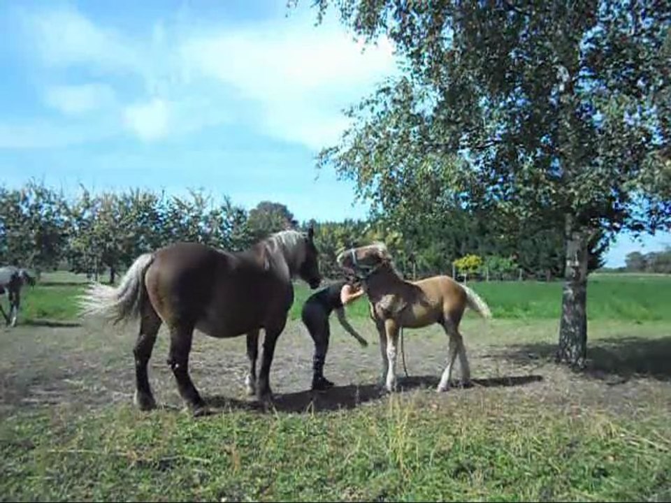 Romy & bounty apprentissage
