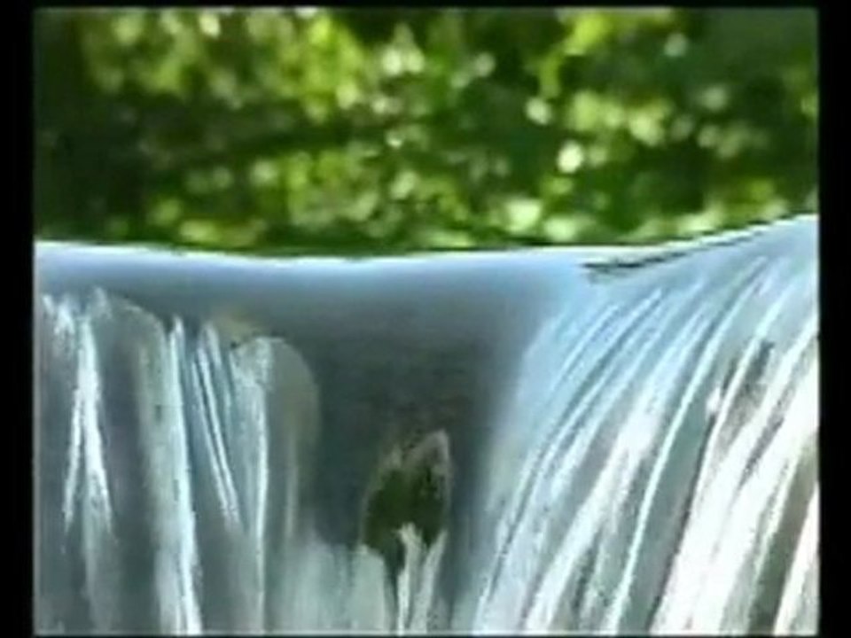 (P3) Les droits des non Musulmans par Farid el Mekki