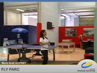 Corporate de Marie-Noêl AUVINET, Fly Parc du réseau Ile-de-France Initiative by New3S