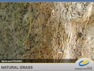 Corporate de Bertrand PICARD,Natural Grass du réseau Ile-de-France Initiative by New3S