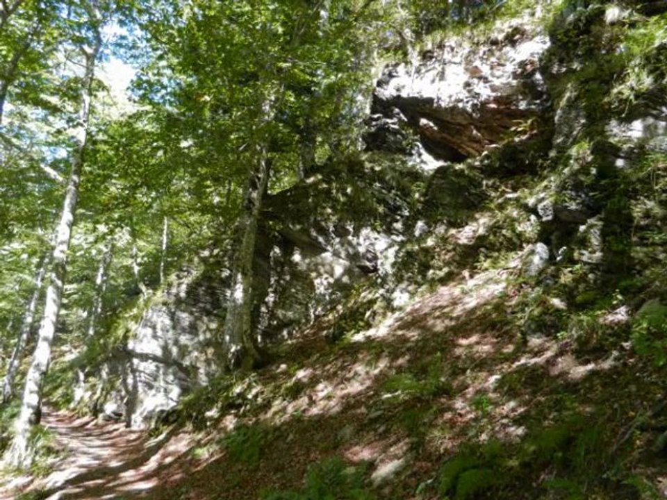 le chemin de l'Impératrice