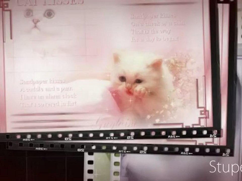 Quelques Créations Graphiques