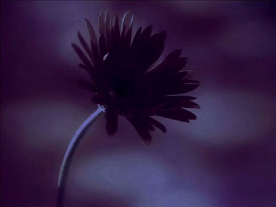 Serdar Ortaç - Bilsem Ki (lyrics)