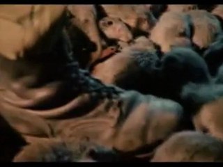 Людоедство по технологии ''Крысиный король''