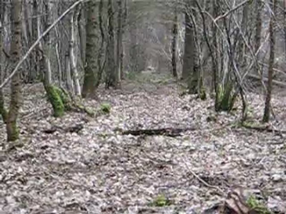 chasse au parc