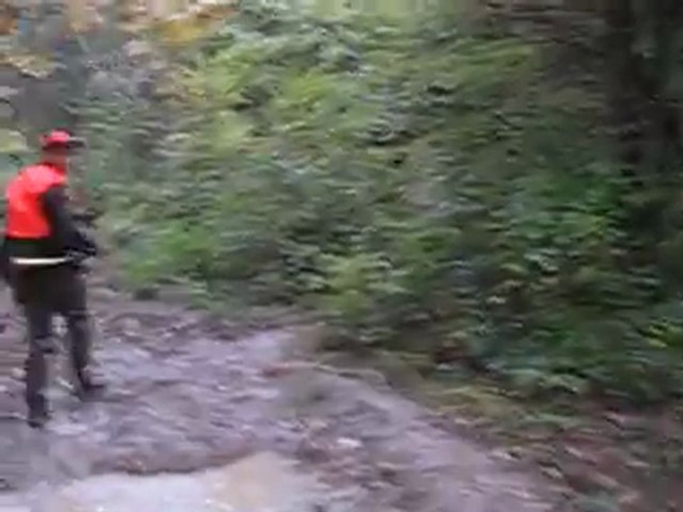 journé chasse au sanglier avec le rallye du val d'allier et rallye chasse tout