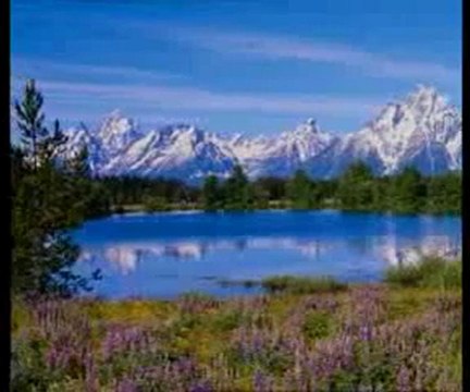 Müminler ancak Allah'a dua ederler