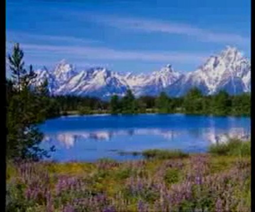 Müminler ancak Allah'a dua ederler